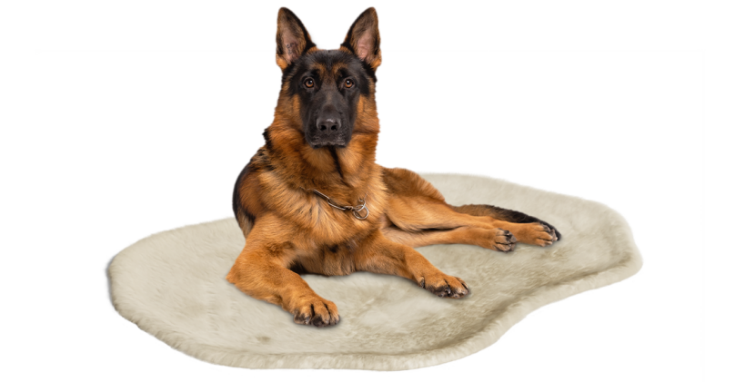Grand chien se reposant dans Omlet couverture pour chien