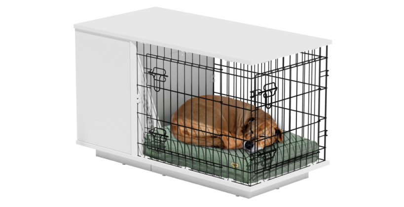 Chien dormant à l'intérieur d'une cage