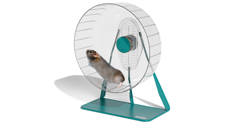 Roue de hamster silencieuse par Omlet