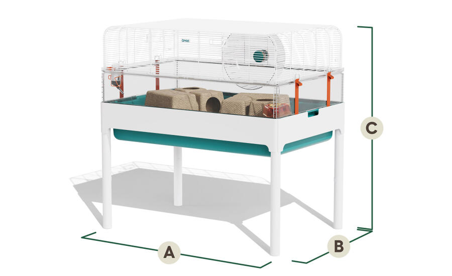 Dimensions de l'habitat du hamster