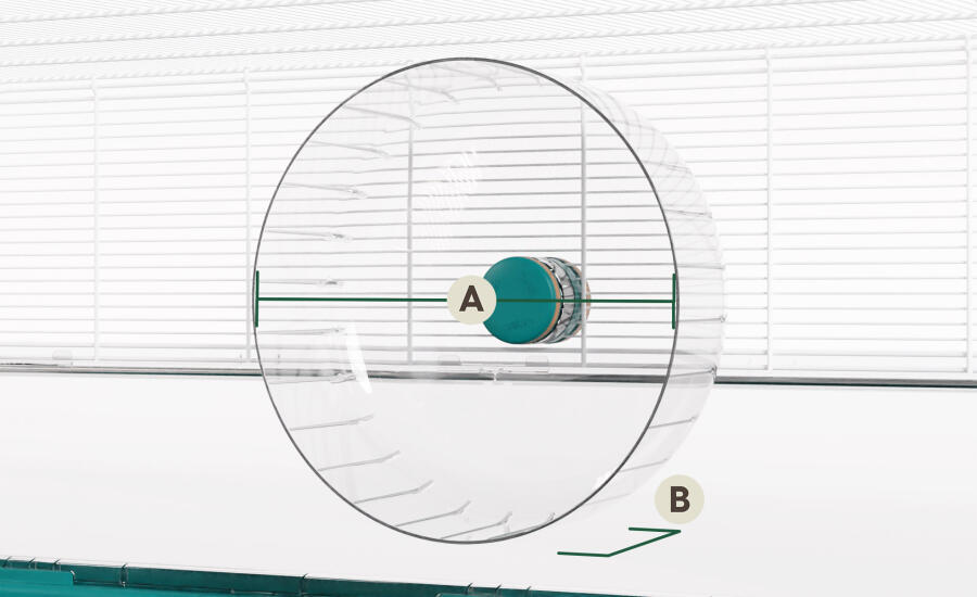 Dimensions de la roue de l'habitat du hamster