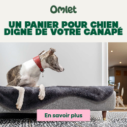 Un panier pour chien digne de votre canapé