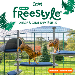 L’arbre à chat d’extérieur Freestyle