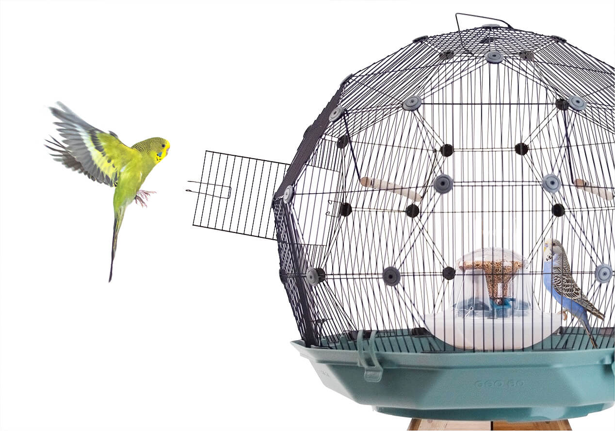 Accessoires pour cage à oiseaux : comment choisir