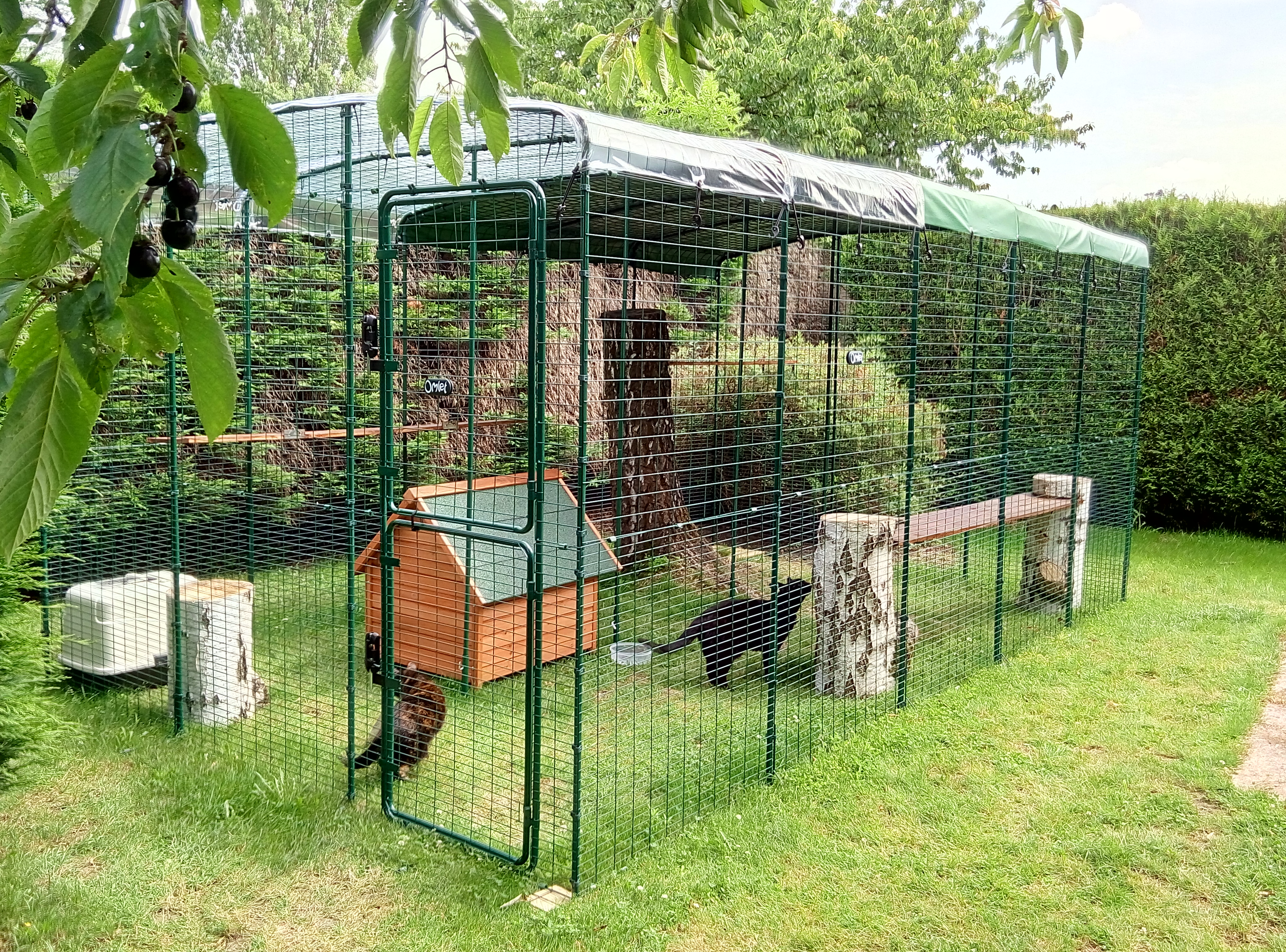 enclos exterieur en bois pour chat - chatterie extérieure pour chats